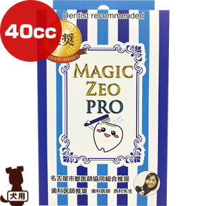 }WbN[I v 40cc EDOG JAPAN g ybg ObY  hbO f^PA 