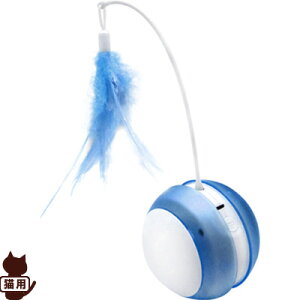 t@^W[ [O^u[ u[ BTM2010-B t@^W[[h w ybg ObY L Lbg  d {[ ˂炵