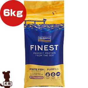 tBbV4hbO ps[ 6kg Fish4Dogs b ybg t[h  hbO q OCt[