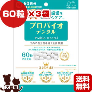 voCI f^ 60×3 oj v~A[h z ybg t[h  hbO L Lbg Pʋ Tvg  C Y 