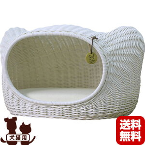 ^ LeBnEX zCg VVAWp g ybg ObY  hbO L Lbg xbh 