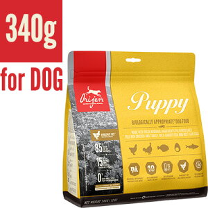 �I���W�� �p�s�[ 340g �`�����s�I���y�b�g�t�[�Y ��t �y�b�g �t�[�h �� �h�b�O �h���C �q�� ORIJEN�y���K�i�z