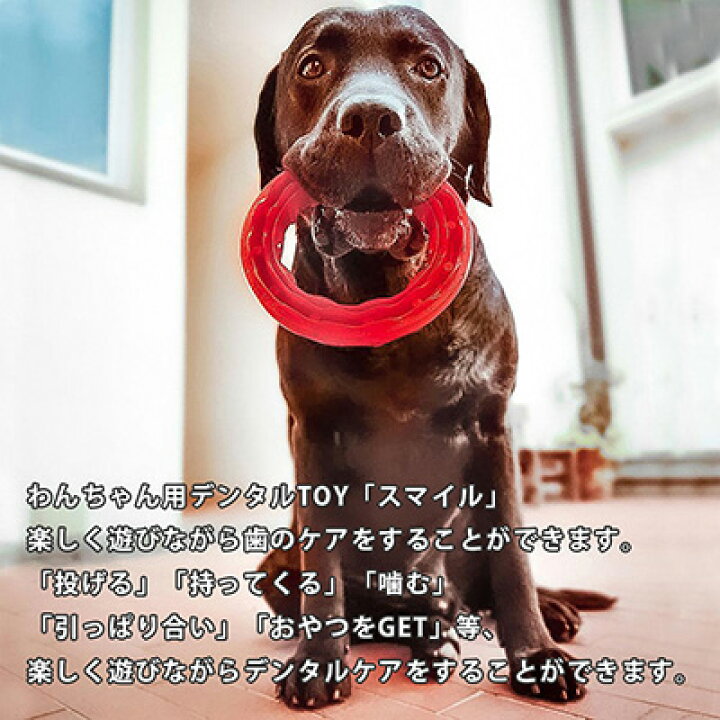 楽天市場 スマイル ｌ ブラック ファープラスト W ペット グッズ 犬 ドッグ おもちゃ デンタルトイ ストレス 運動不足解消 イタリア Ferplast リプロスストア