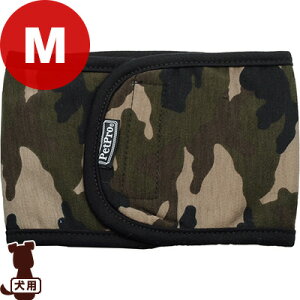 }i[xg M Jt[W ybgv a ybg ObY  hbO }[LOh~ o hbOJtF AjApLV[g PetPro