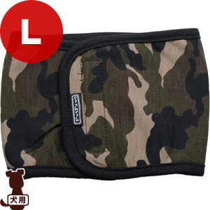 }i[xg L Jt[W ybgv a ybg ObY  hbO }[LOh~ o hbOJtF AjApLV[g PetPro