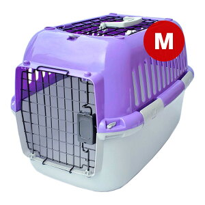 t@^W[L[I[v M p[v w ybg ObY  hbO L Lbg o| U s ړ ʉ@ 