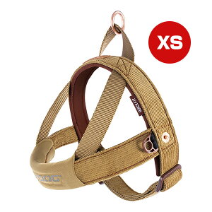 C[W[hbO NCbNn[lX R[fC XS V g ybg ObY  hbO ANZT[  EZYDOG