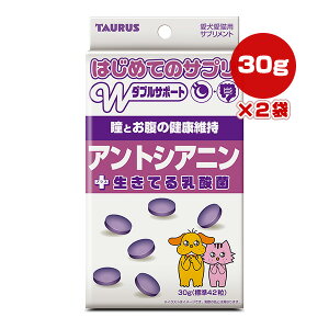 ͂߂ẴTv AgVAj{Ă_ 30g×2 g[X a ybg t[h  hbO L Lbg Tvg Ƃ̌Nێ Y