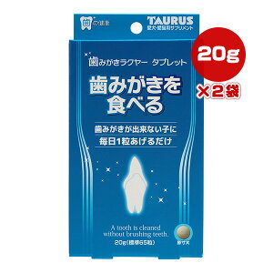 ݂N[ ^ubg 20g[W65]×2 g[X a ybg t[h  hbO L Lbg f^PA o 