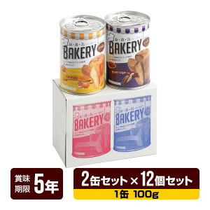 H VHʃx[J[ ʓ\tgpiEIW e1ʁj 2ʃZbg×12Zbg AXg 5Nۑ p ʋl ۑ hАH hЃObY 