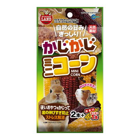 かじかじミニコーン 2本＋おまけミニミニサイズ1本 マルカン ▼a ペット フード 小動物 ウサギ モルモット ハムスター リス チンチラ 天然素材 おやつ 歯の伸びすぎ防止 ストレス解消 ミニマルランド