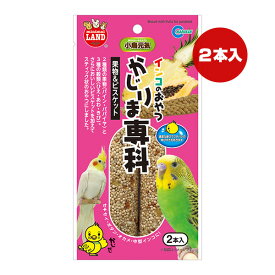 インコのおやつ かじりま専科 果物＆ビスケット 2本入 マルカン ▼a ペット フード 小鳥 セキセイ ボタン オカメ 中型インコ 間食 おやつ ミニマルランド