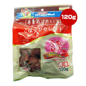 قуZNg ܂Io[XibN v[ 120g hM[} a ybg t[h  hbO  XibN `bvX S r^~ Y DoggyMan