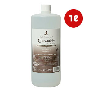 BASICS ZxZ~hCX`[Xv[ Ɩp 1L QIX g ybg ObY  hbO L Lbg ێ Y 