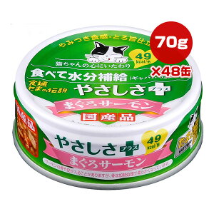 Hʂ܂̓` ₳vX ܂T[ 70g×48 STIT[ a ybg t[h L Lbg EFbg ⋋ Mo Y