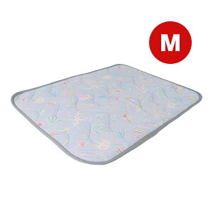 N[Y }bg M ݂̂Ȃ O[ hM[}nV a ybg ObY  hbO L Lbg ڐG⊴ R hL OK t