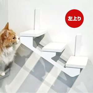 Lbg[hvX Lbg_[  zCg Aj}R c ybg ObY L Lbg tȒP EH[N ^[ c[ DIY Ki lC IV   S { Catroad+ animacol