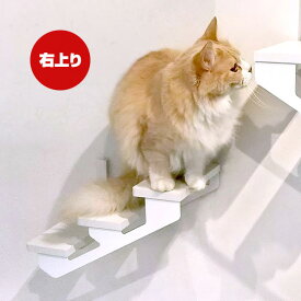 キャットロードプラス キャットラダー 右上り ホワイト アニマコレ ▼c ペット グッズ 猫 キャット 取付簡単 ウォーク タワー ツリー DIY 階段 人気 オシャレ 白 賃貸 安全 日本製 Catroad+ animacolle 送料無料