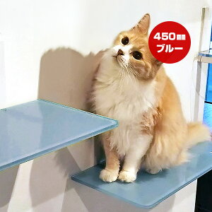 Lbg[hvX J[Xebv u[ 450mm Aj}R c ybg ObY L Lbg tȒP EH[N ^[ c[ DIY lC IV   S { Catroad+ animacolle 