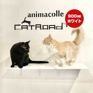 Lbg[hvX OXebv zCg 900mm Aj}R c ybg ObY L Lbg tȒP EH[N ^[ c[ DIY lC IV   S { Catroad+ animacolle 