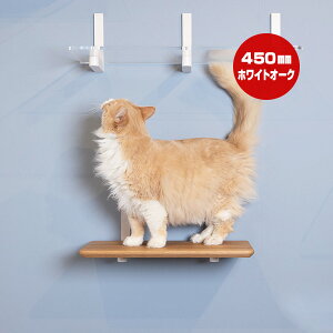 Lbg[hvX EbhXebv zCgI[N 450mm Aj}R c ybg ObY L Lbg tȒP EH[N ^[ c[ DIY lC IV ؖ  S { Catroad+ animaco