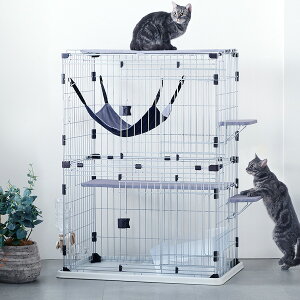 T[N^[ vCLbg 2i {rAR g ybg ObY L Lbg P[W IV 