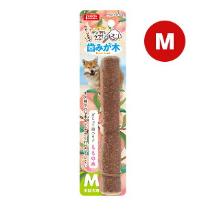 ݂ ̖ M }J a ybg ObY  hbO  f^PA ^p DA-366 GONTA CLUB