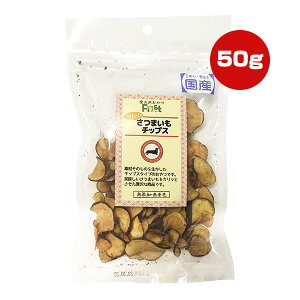 t@[Xg JbIƂ܂`bvX 50g G[Xv_Nc a ybg t[h  hbO  Y F Y First