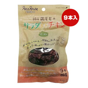 Y{̃T_`L s[} 9{ ybc[g a ybg t[h  hbO  ؃K PetzRoute