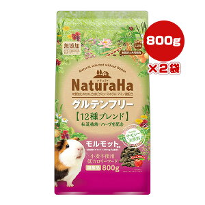 i`n Oet[ 12uh bgp 800g×2 }J a ybg t[h  Y `V[ ~j}h Y NaturaHa ML-536