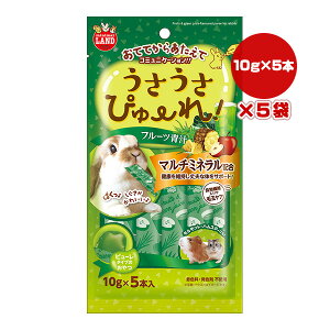 ҂[ t[c` 10g×5{×5 }J a ybg t[h   nX^[  }`~l H@ ыʃPA ~j}h ML-564