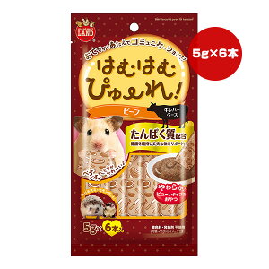 ͂ނ͂ނ҂[ r[t 5g×6{ }J a ybg t[h  nX^[ nlY~ tFbg  ς ~j}h ML-565