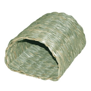 y glnEX KAWAI a ybg ObY   AWAr^`V[