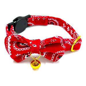 yCY[{ Lbg bh 쐻쏊 a ybg ObY L Lbg ANZT[  J[ 䂤pPbg