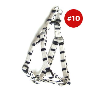 jbg{[_[n[lX #10 lCr[ 쐻쏊 a ybg ObY  hbO L Lbg ANZT[  䂤pPbg