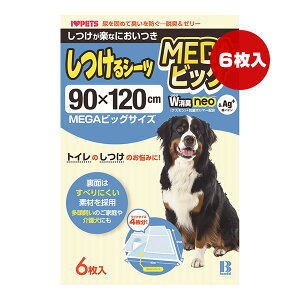 V[c WLlI MEGArbOTCY 6 {rAR g ybg ObY  hbO gC 90×120cm ɂ EL [[ CI neo