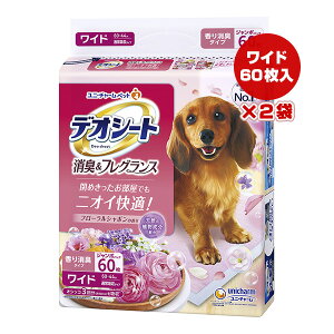 fIV[g LtOX t[V{̍ Ch 60×2 j`[ a ybg ObY  hbO gC jIC Y