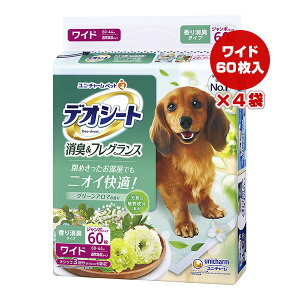 fIV[g LtOX O[A}̍ Ch 60×4 j`[ a ybg ObY  hbO gC jICK