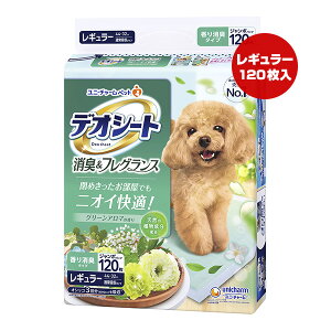 fIV[g LtOX O[A}̍ M[ 120 j`[ a ybg ObY  hbO gC jICK Y