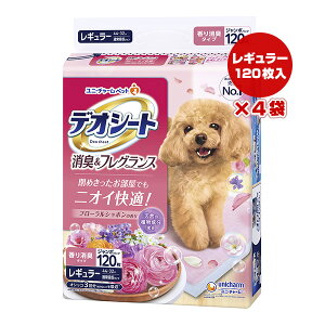 fIV[g LtOX t[V{̍ M[120×4 j`[ a ybg ObY  hbO L Lbg