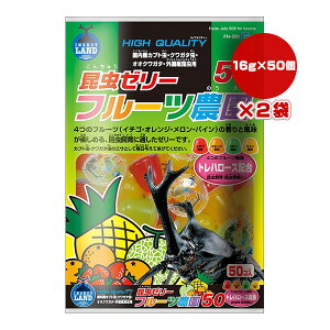 [[ t-c_50 16g×50×2 }J a ybg t[h  Jug NK^ FN-500