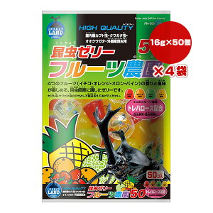 [[ t-c_50 16g×50×4 }J a ybg t[h  Jug NK^ FN-500