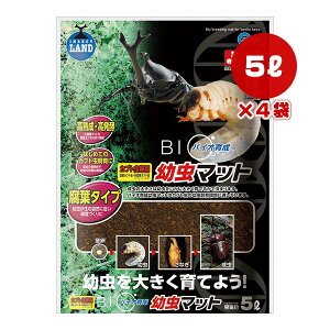 oCI琬 c}bg 5L×4 }J a ybg ObY  Jug n y t^Cv M-704