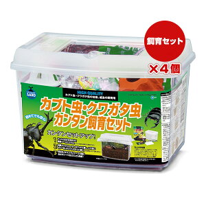 JugENK^ J^Zbg×4 }J a ybg ObY  c   P[X KS-13