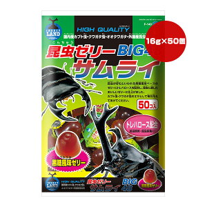 [[ TC BIG48 16g×50 }J a ybg t[h  Jug NK^  gn[X F-140