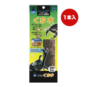  VR 1{ }J a ybg ObY  Jug NK^ T-109