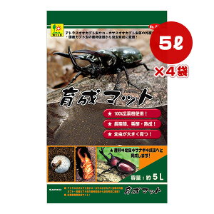 琬}bg 5L×4 OW a ybg ObY  Jug c 100Ltgp y n