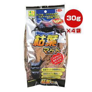 ͗t}bg 30g×4 OW a ybg ObY  Jug NK^ Lt t h~ Bꏊ ]|h~
