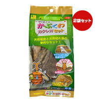 楽天市場】カブトムシ クワガタ 福袋の通販