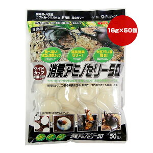ChJbv LA~m[[50 16g×50 tWR a ybg t[h  Jug NK^ p L ^ B-124